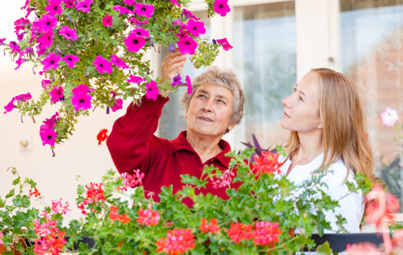 memory care flowers dreamstime xxl 35193884 800215506